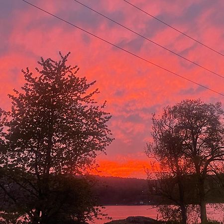 Hyttelaven Pa Furuholmen Sarpsborg Bagian luar foto