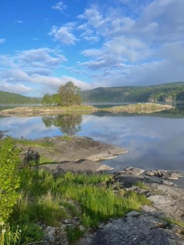 Hyttelaven Pa Furuholmen Sarpsborg Bagian luar foto