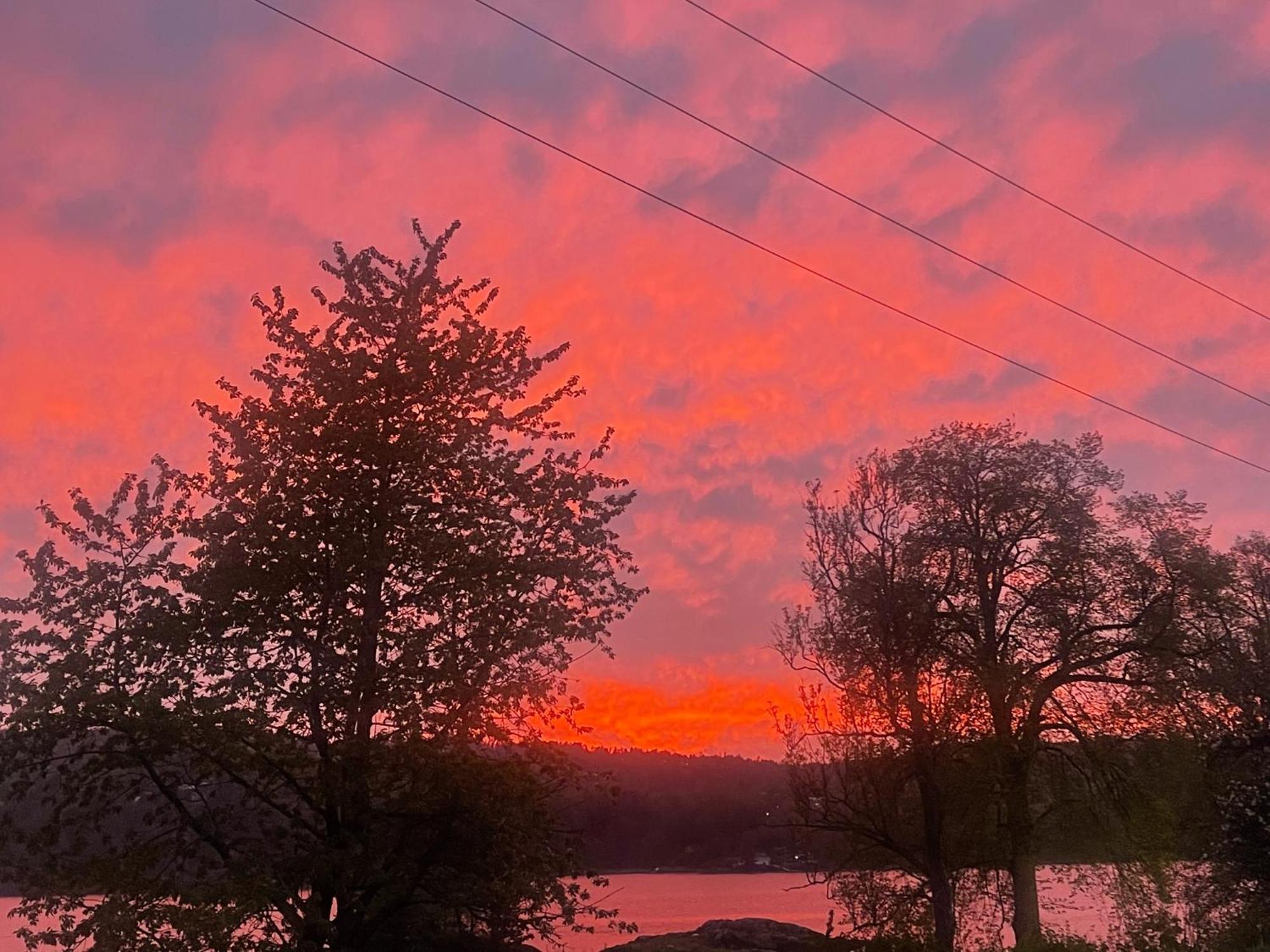 Hyttelaven Pa Furuholmen Sarpsborg Bagian luar foto